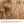 Load image into Gallery viewer, Olaplex No. 4P Blonde Enhancer Toning Shampoo
