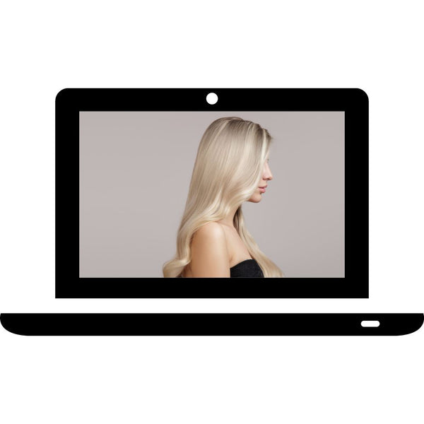 Blonde Perfection Online Course