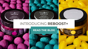 Neal & Wolf REBOOST+ Vivid Colours