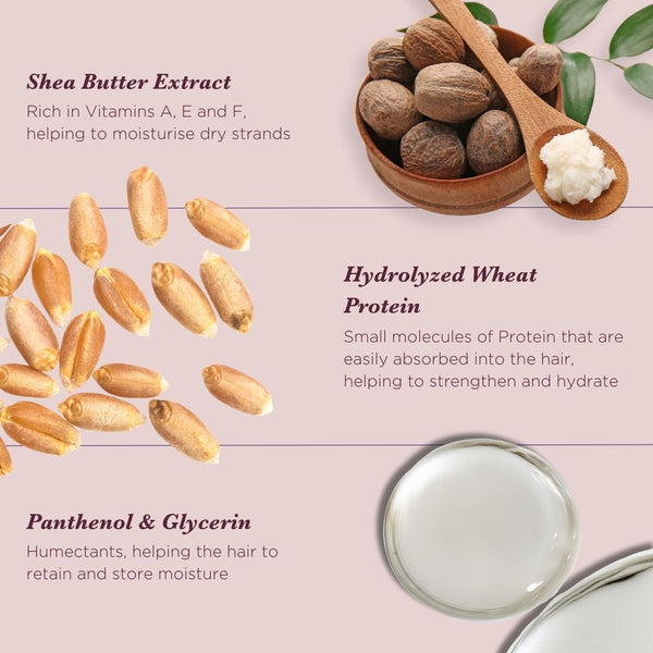 Neal & Wolf DAILY Conditioner