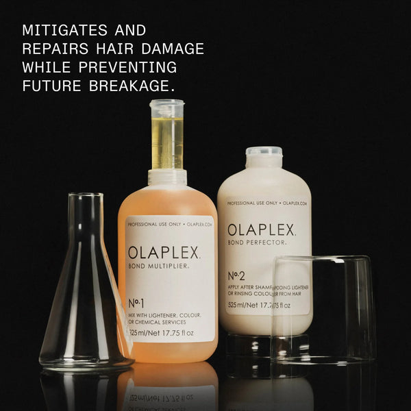 Olaplex Salon Intro Kit