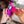 Load image into Gallery viewer, Framar Classic Colour Brush
