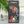 Load image into Gallery viewer, Framar 5x12 Star Struck Silver Embossed Medium Foil (500 Sheets)
