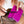 Load image into Gallery viewer, Framar Tight Tension Clips
